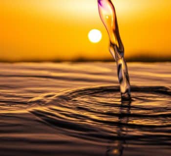 water drop on brown sand during sunset